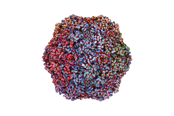 6E2R image
