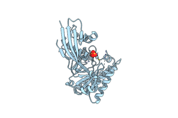 6E2S image