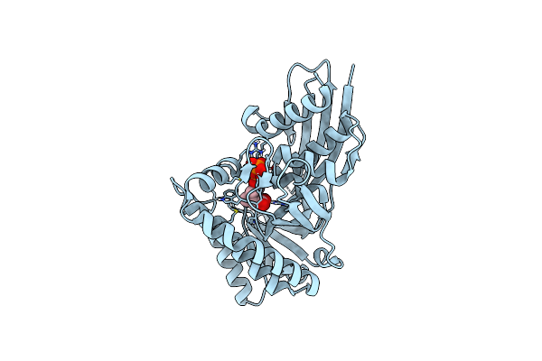 6E2T image