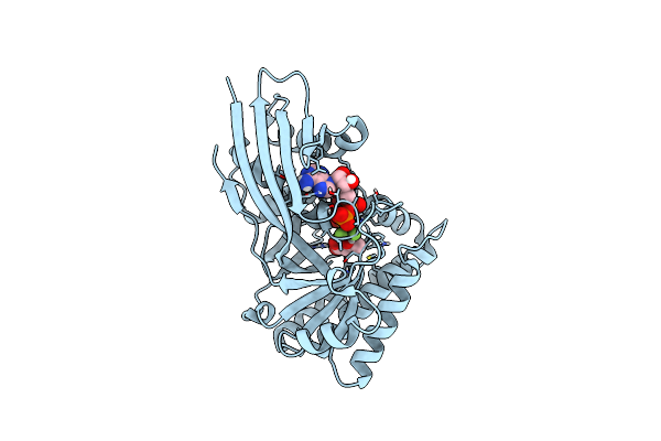 6E2V image