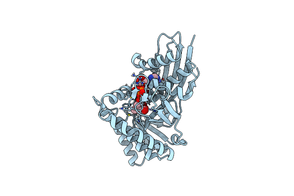 6E2W image