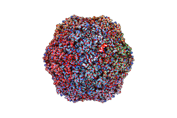 6E2X image
