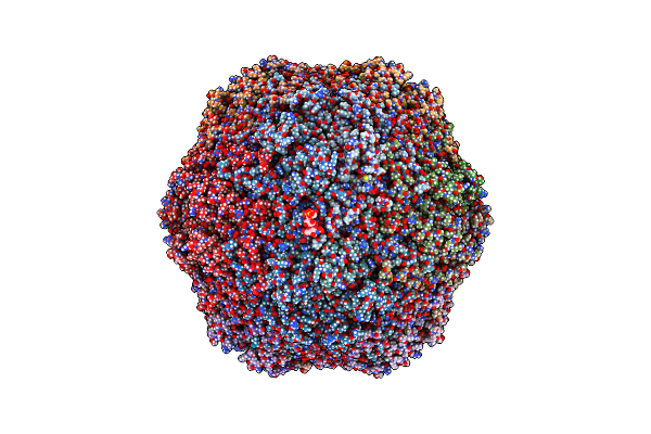 6E2Z image