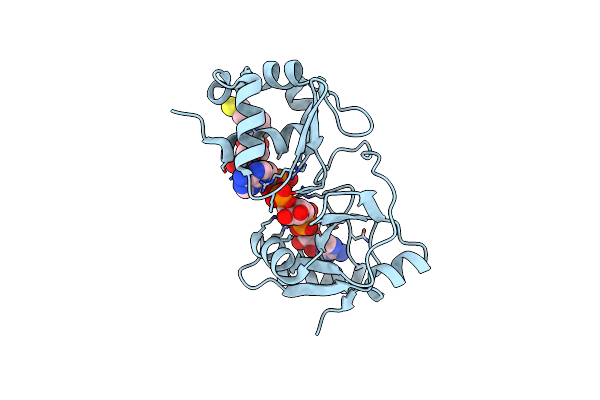 6E3A image