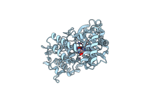 6E3D image