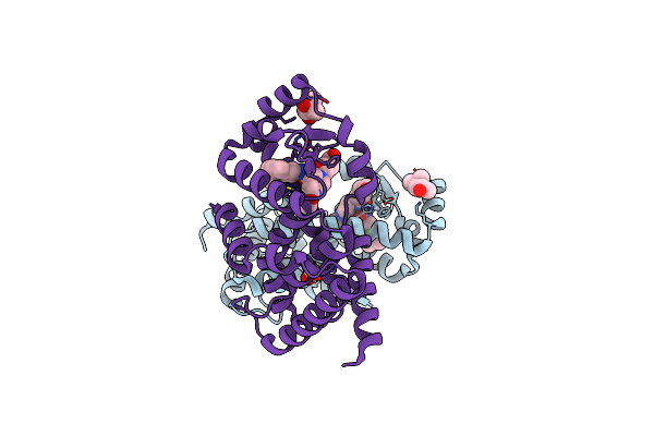 6E3E image