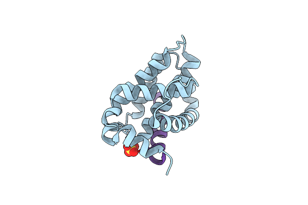6E3I image