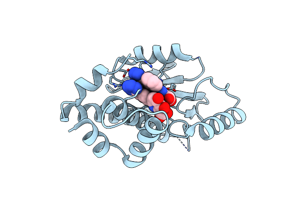 6E3P image