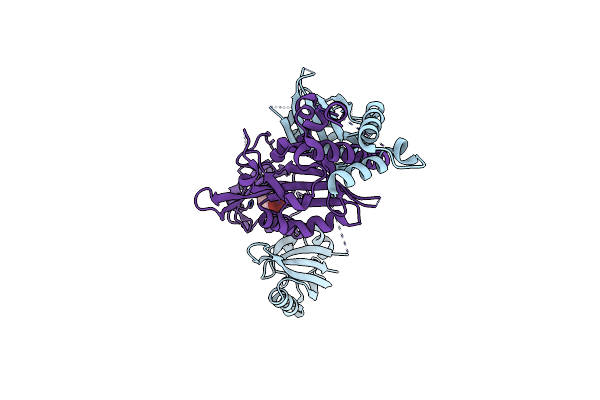 6E3T image
