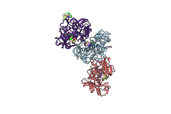 6E3Z image
