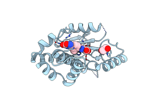6E4C image