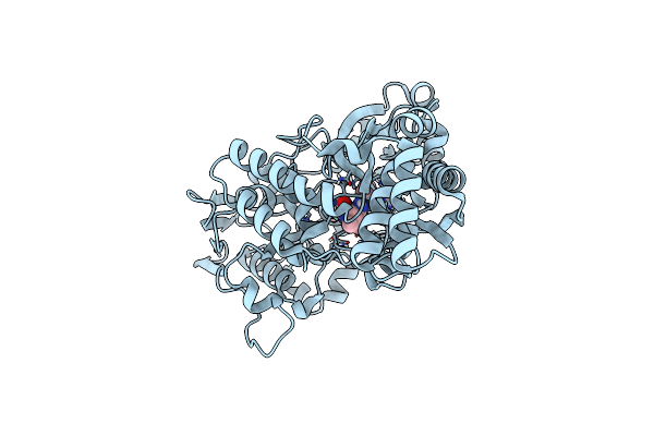 6E4D image