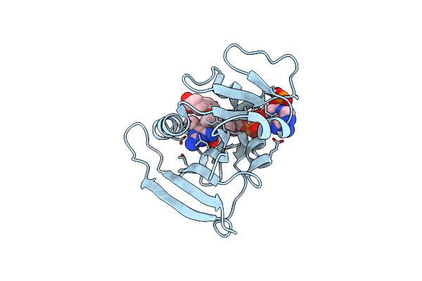 6E4E image