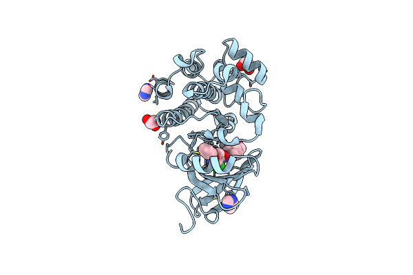 6E4F image