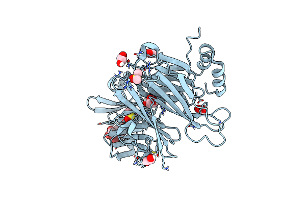6E4L image