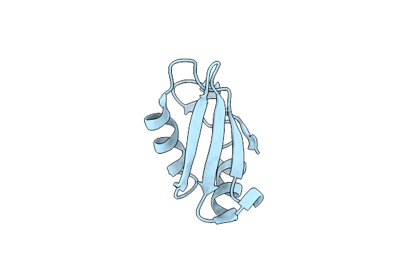 6E4N image