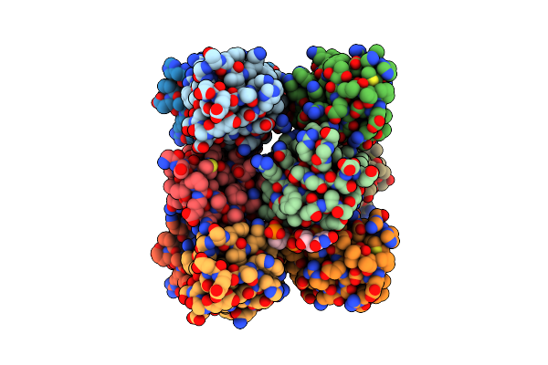 6E4P image