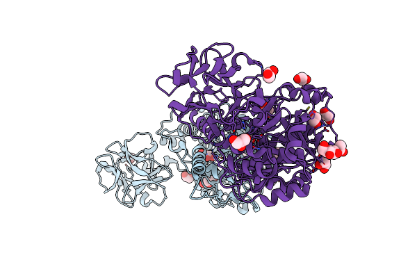 6E4R image