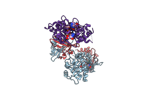 6E4T image
