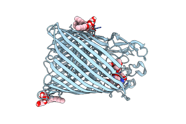 6E4V image