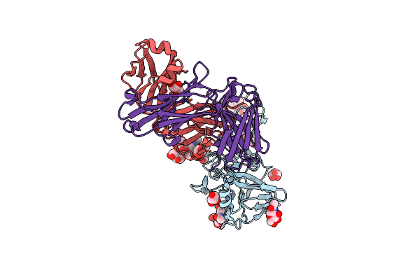 6E4X image