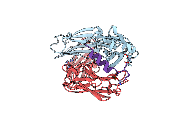 6E4Z image