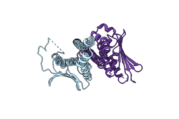 6E52 image