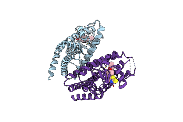 6E5A image