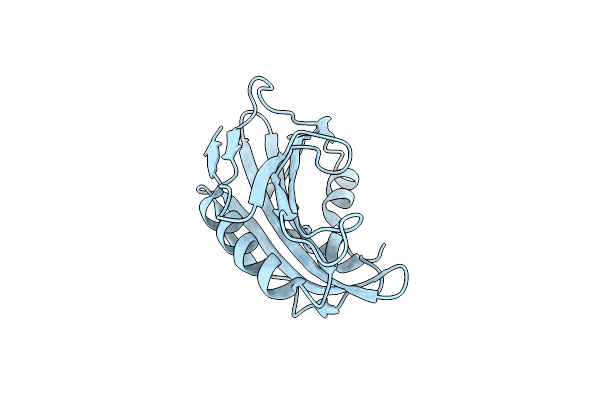 6E5D image