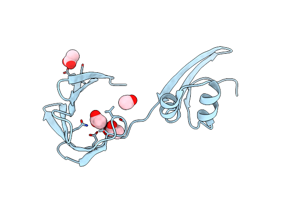 6E5E image
