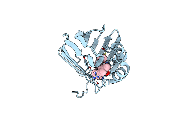 6E5L image