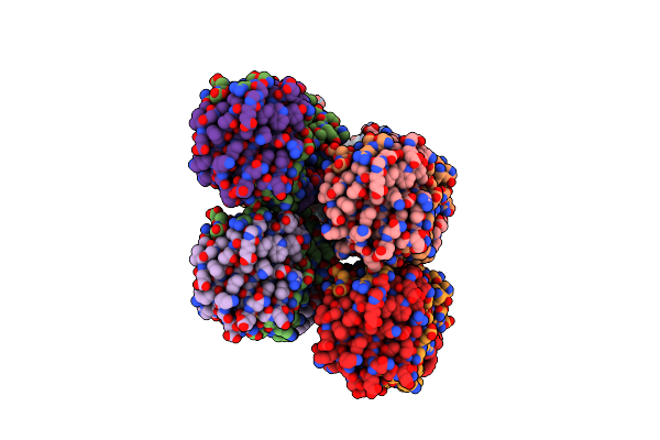 6E5S image