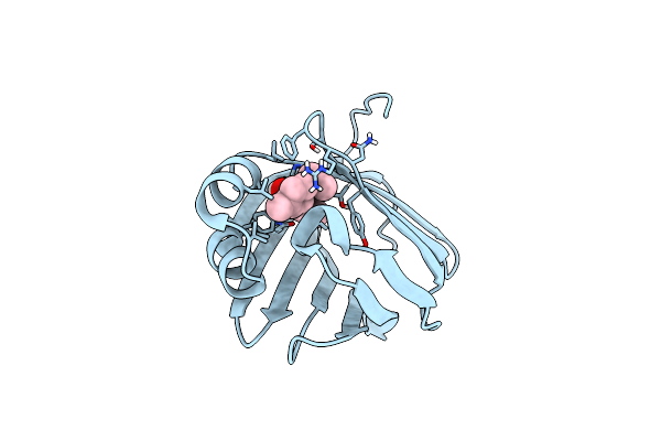 6E5T image