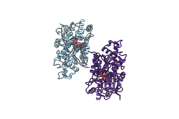 6E5V image