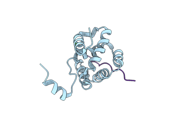 6E5X image