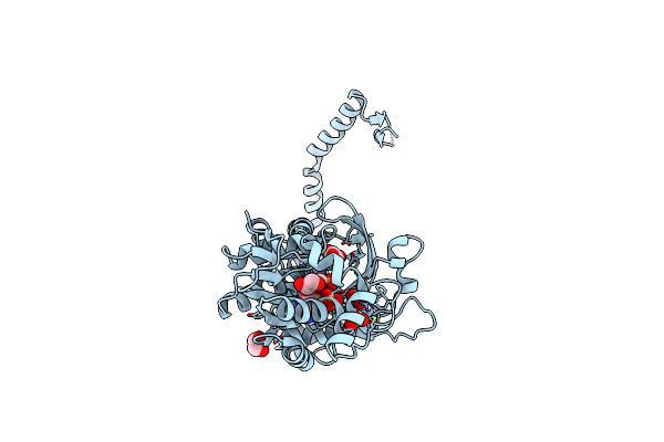 6E5Y image