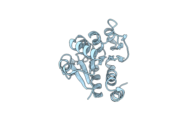 6E5Z image