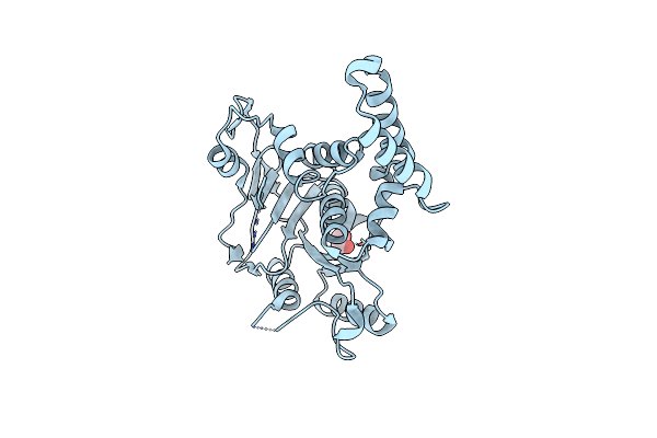 6E66 image