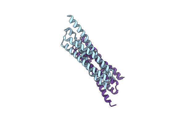 6E6A image