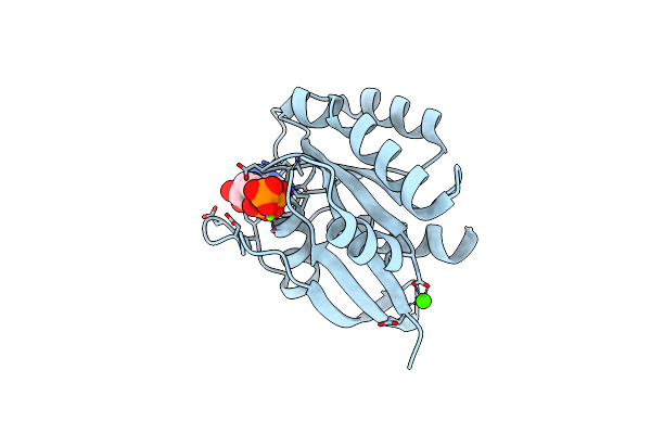 6E6C image