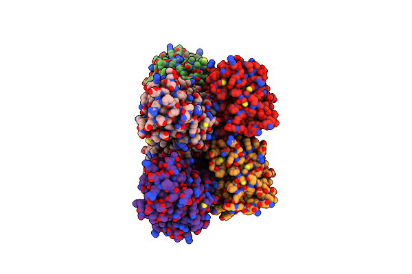 6E6E image