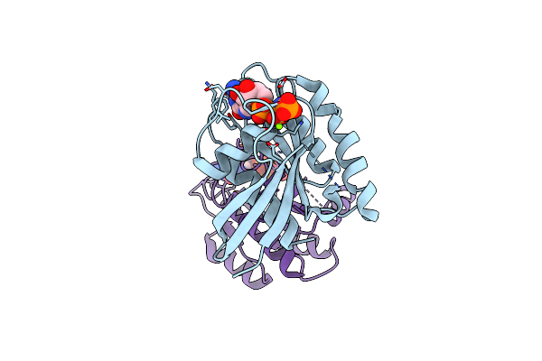 6E6F image