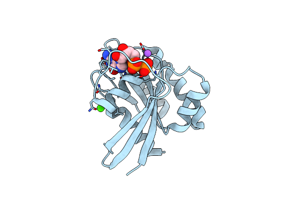 6E6G image