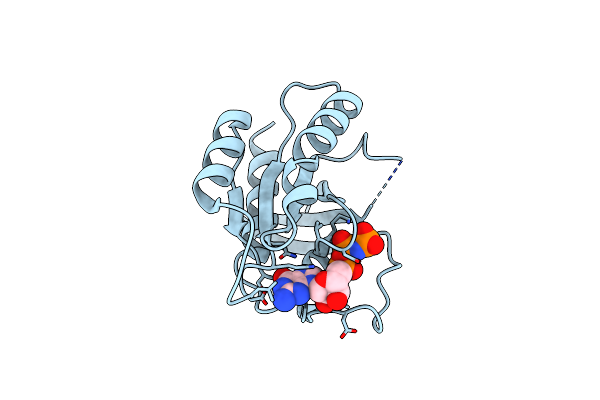 6E6H image