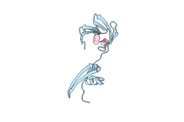6E6L image
