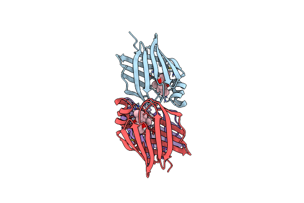 6E6M image