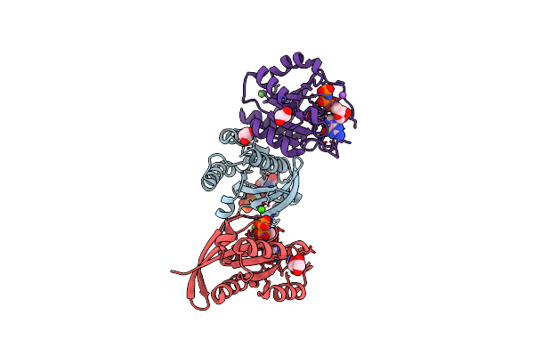 6E6P image