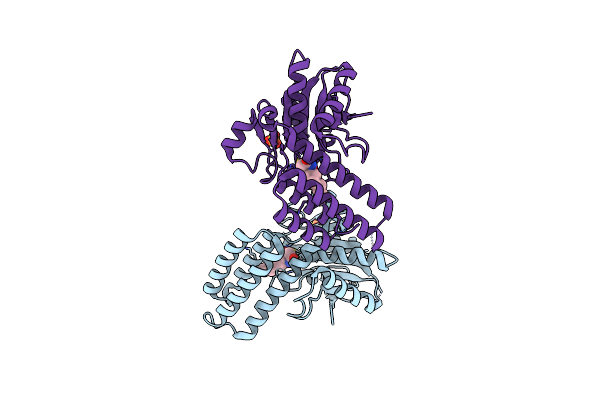 6E6T image