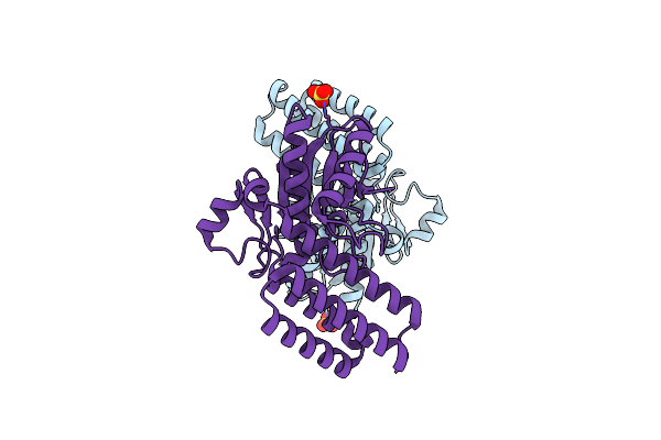6E6Y image