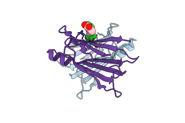 6E6Z image